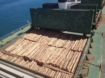 Timber